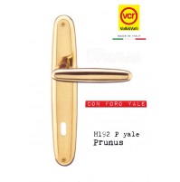 Maniglia porta Valli e Valli Prunus H192 P8Y Ottone lucido D.85 foro Yale 